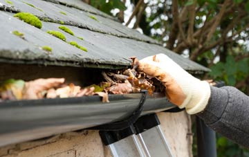gutter cleaning Radnor, Cornwall